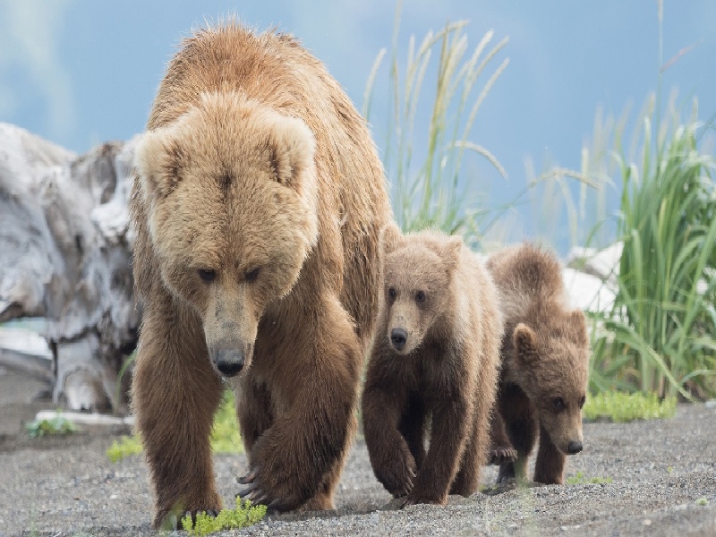 锦江妇幼试管胡，试管得宝宝偏瘫