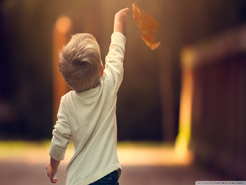 惠州卵巢早衰试管，试管微促排费用