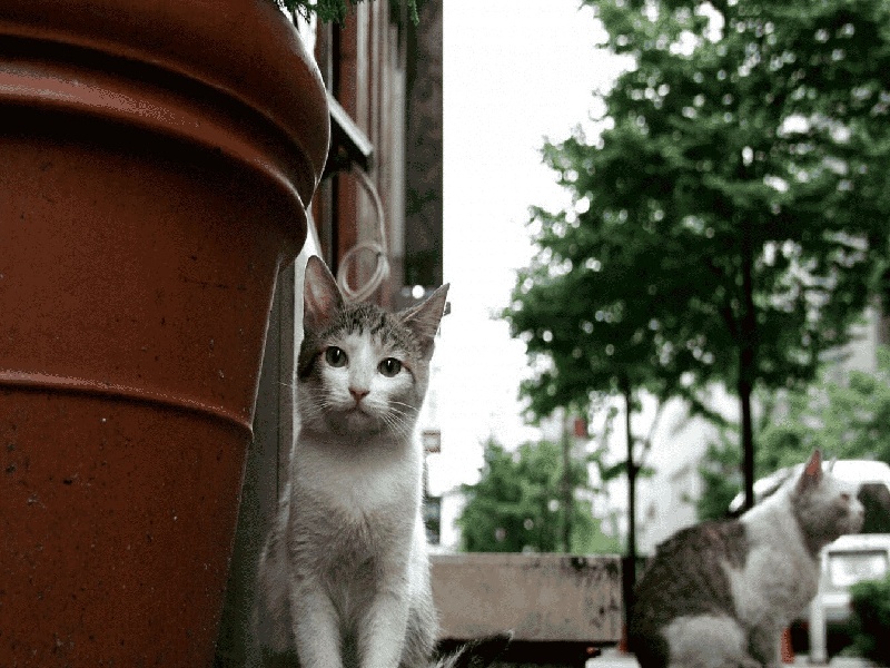 私立试管医院排行，试管要费用多少