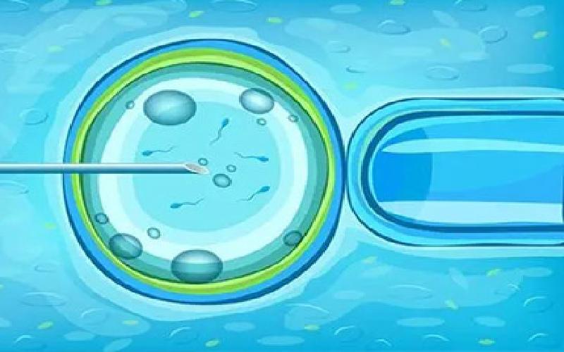 赴美试管海关编码代生